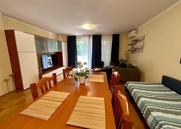 Apartment Sfinga Verudela V